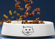 Классы кормов для кошек. Какой выбрать. Часть I